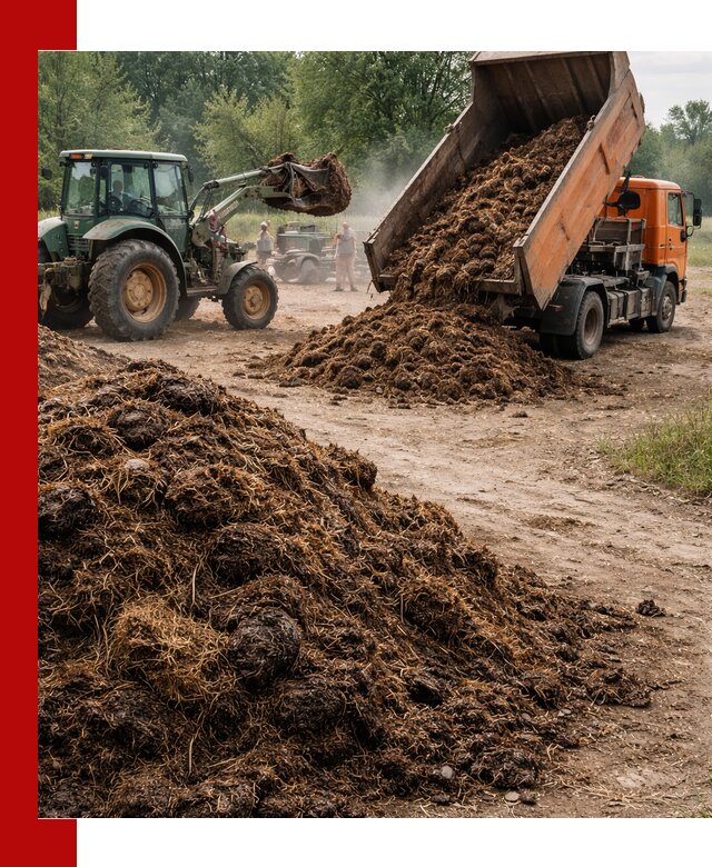 Доставка навоза самосвалами в Павлове для сельхозпотребностей